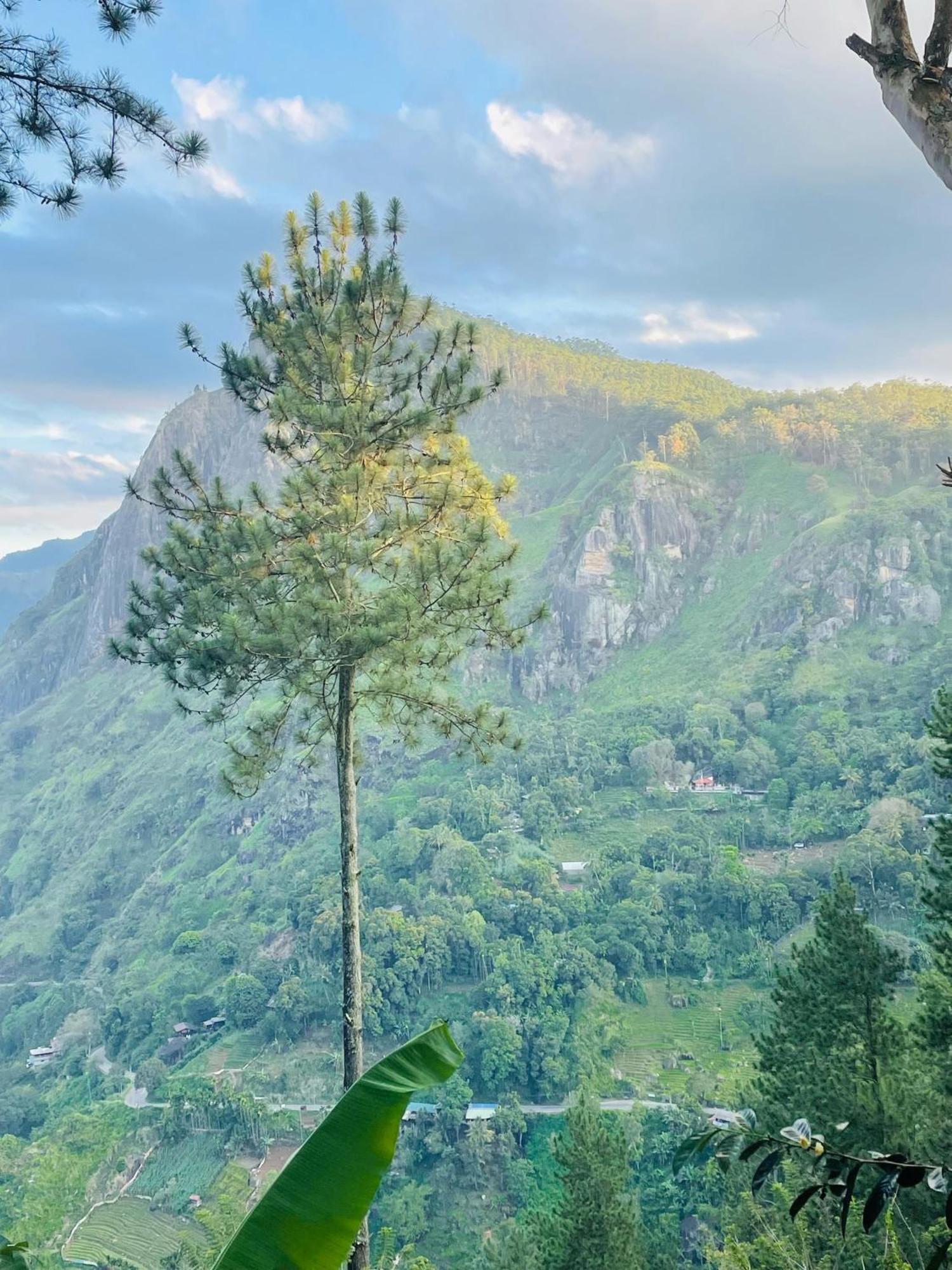 Hidden Gem Inn Ела Екстериор снимка