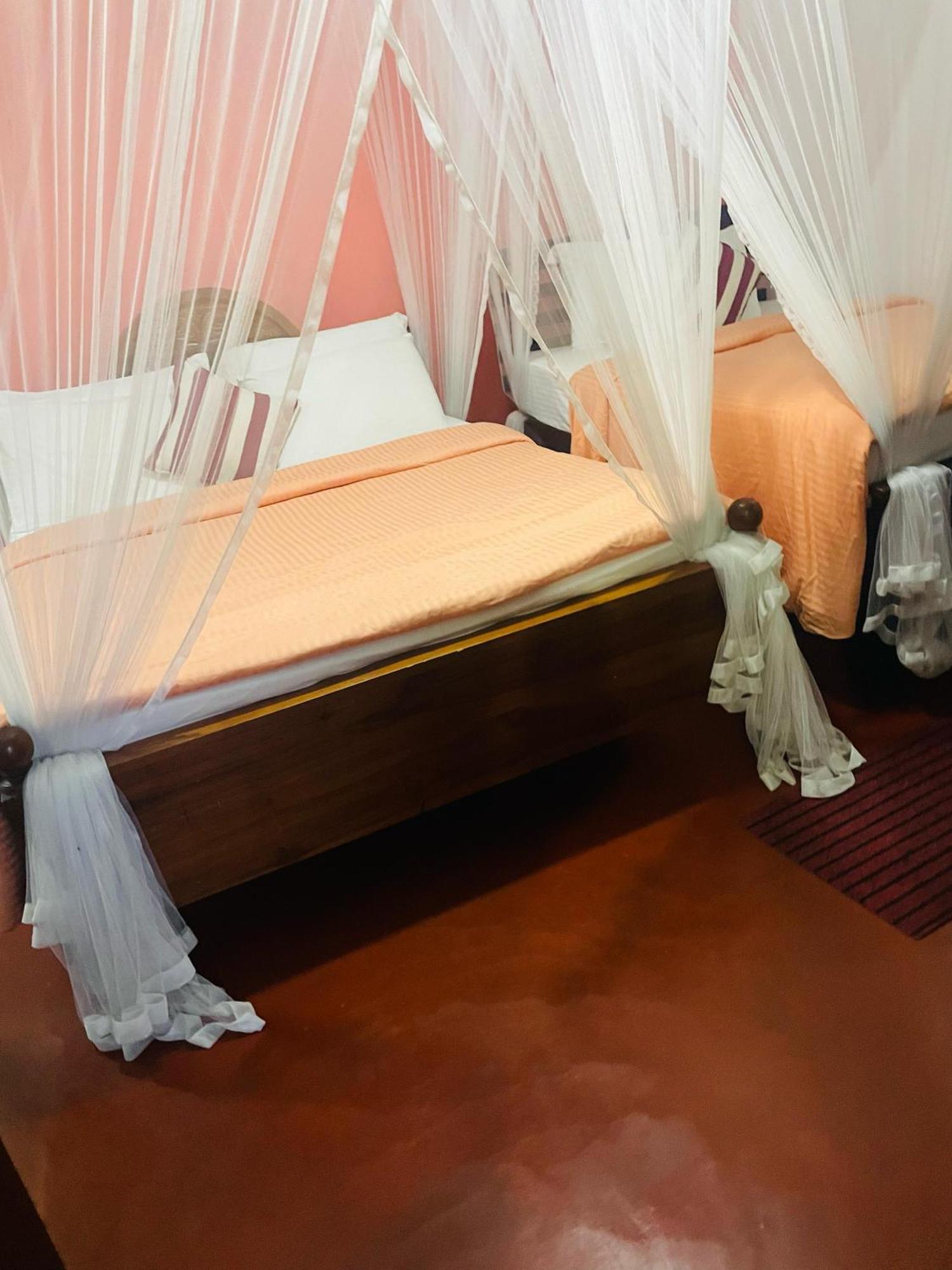 Hidden Gem Inn Ела Екстериор снимка